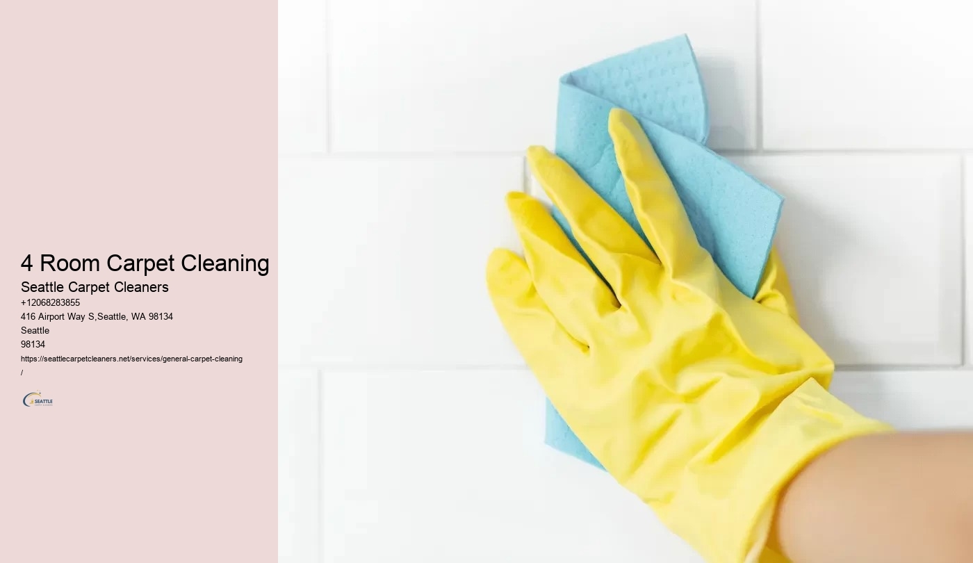 4 Room Carpet Cleaning