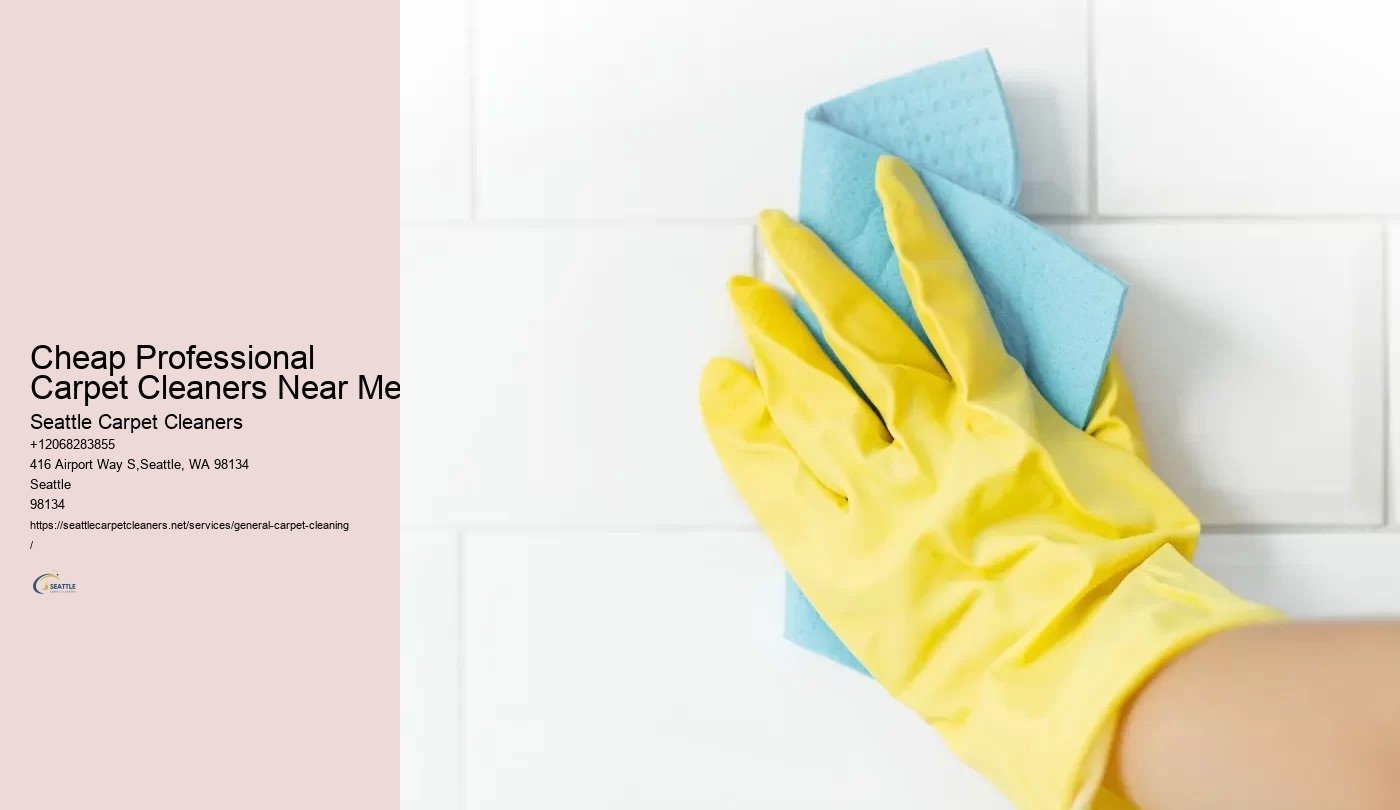 Cheap Professional Carpet Cleaners Near Me