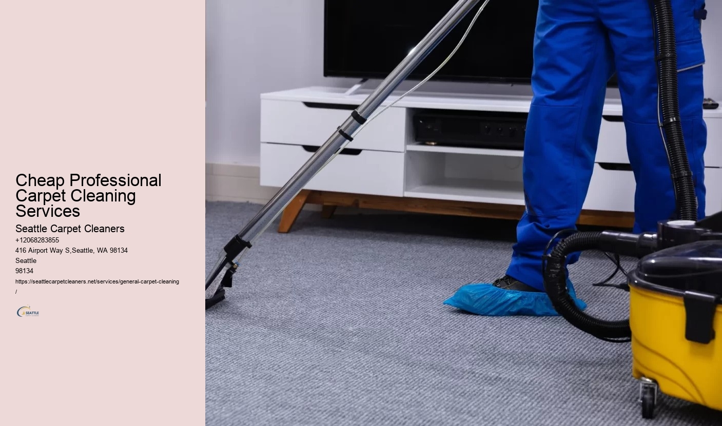 Cheap Professional Carpet Cleaning Services
