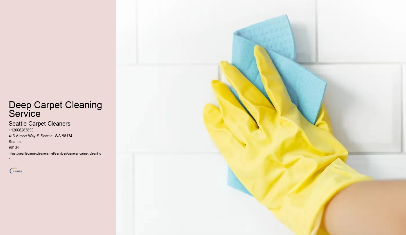 Deep Carpet Cleaning Service