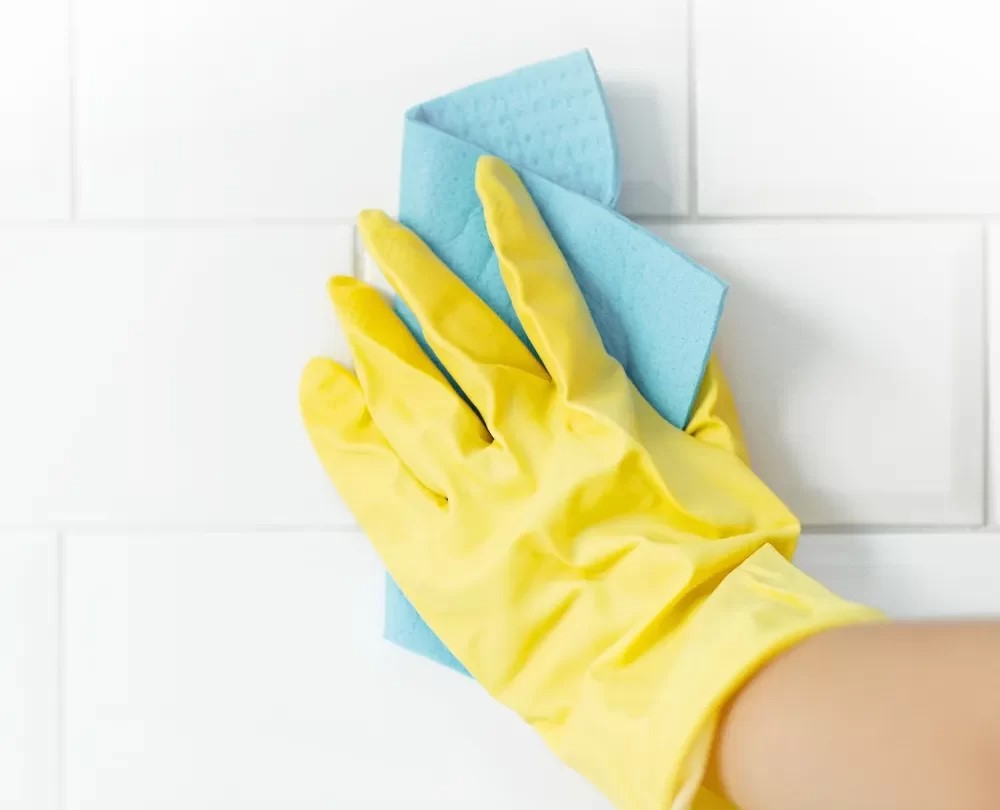 Carpet Cleaning Service Seattle Cost