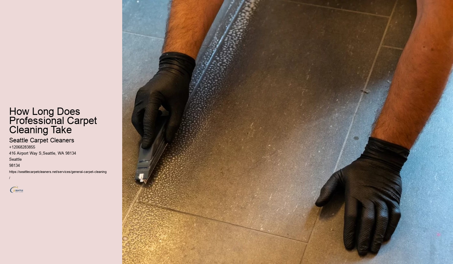 How Long Does Professional Carpet Cleaning Take