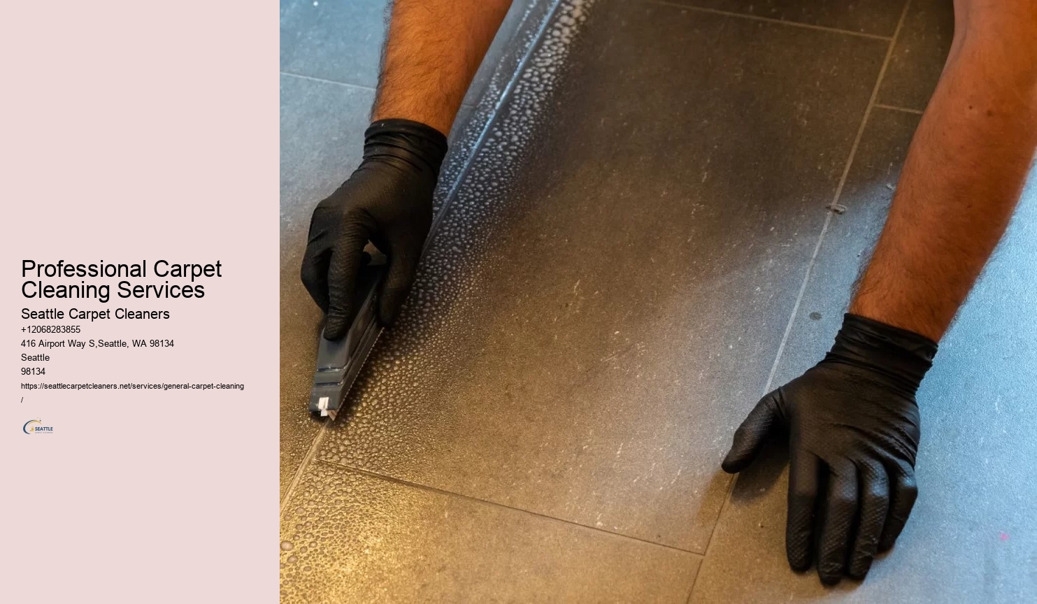 Professional Carpet Cleaning Services