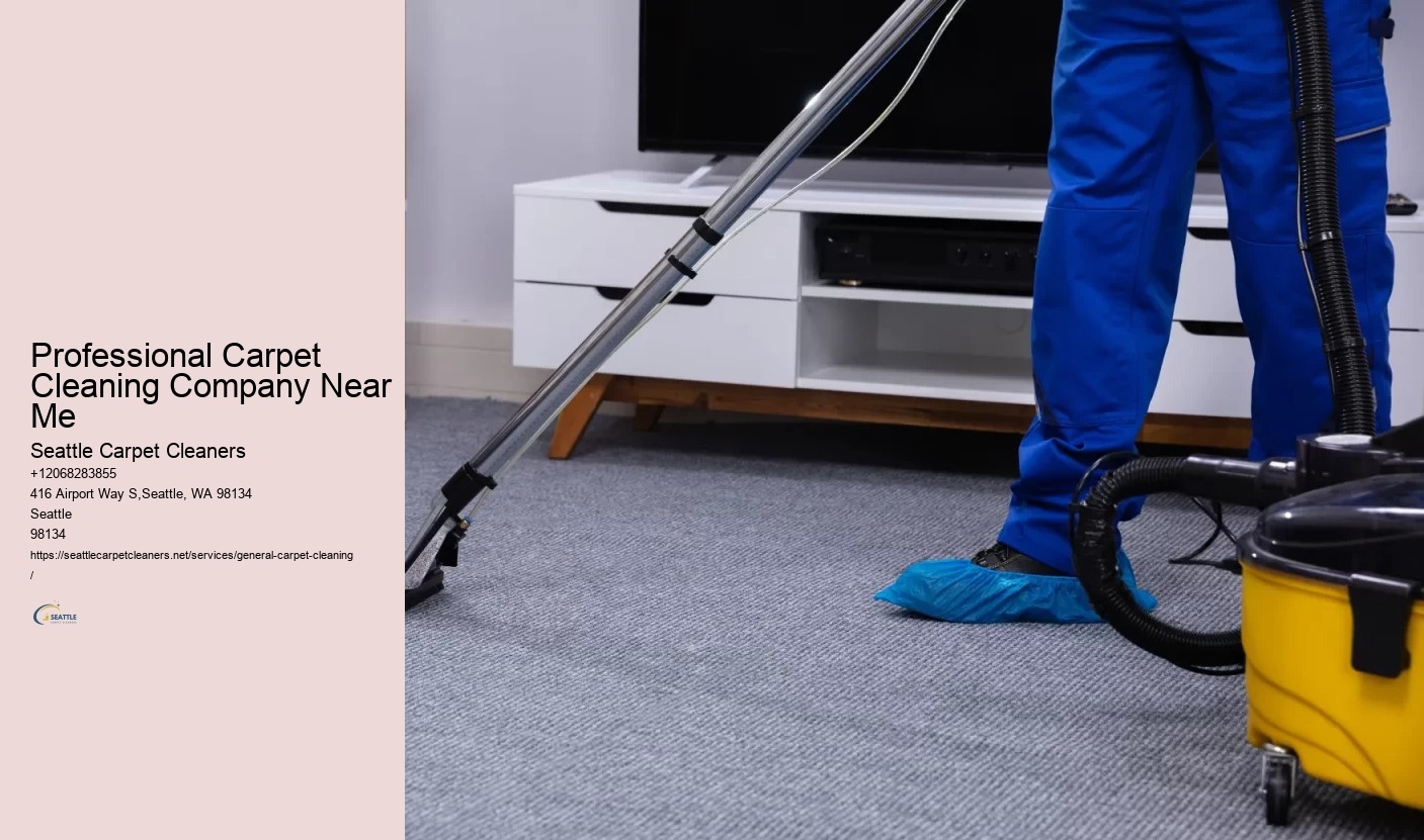 Professional Carpet Cleaning Company Near Me