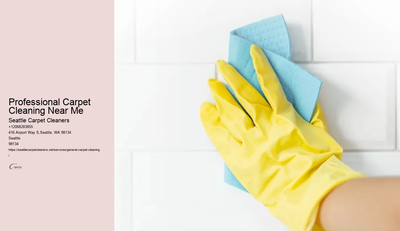 Professional Carpet Cleaning Near Me