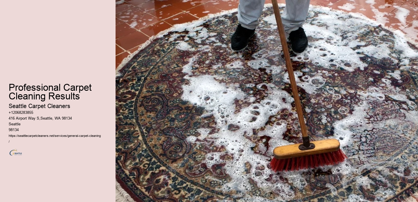 Professional Carpet Cleaning Results