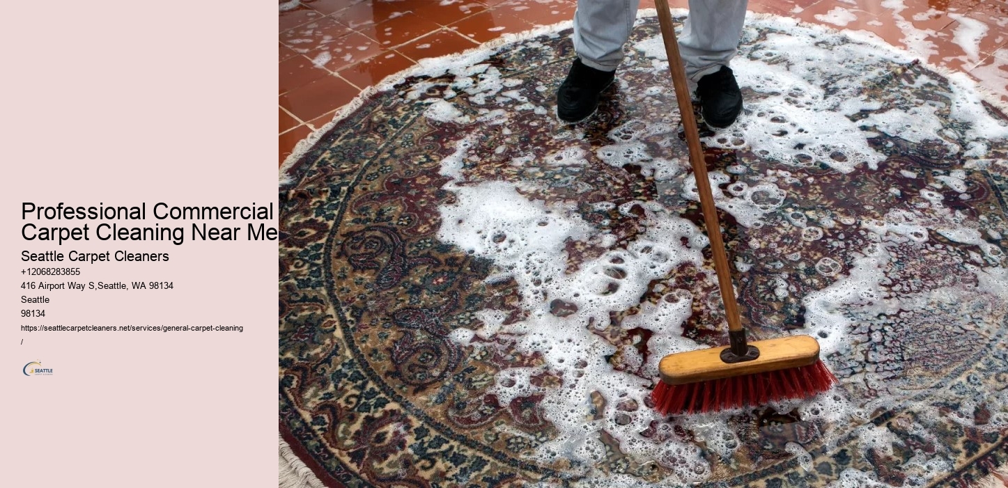 Professional Commercial Carpet Cleaning Near Me