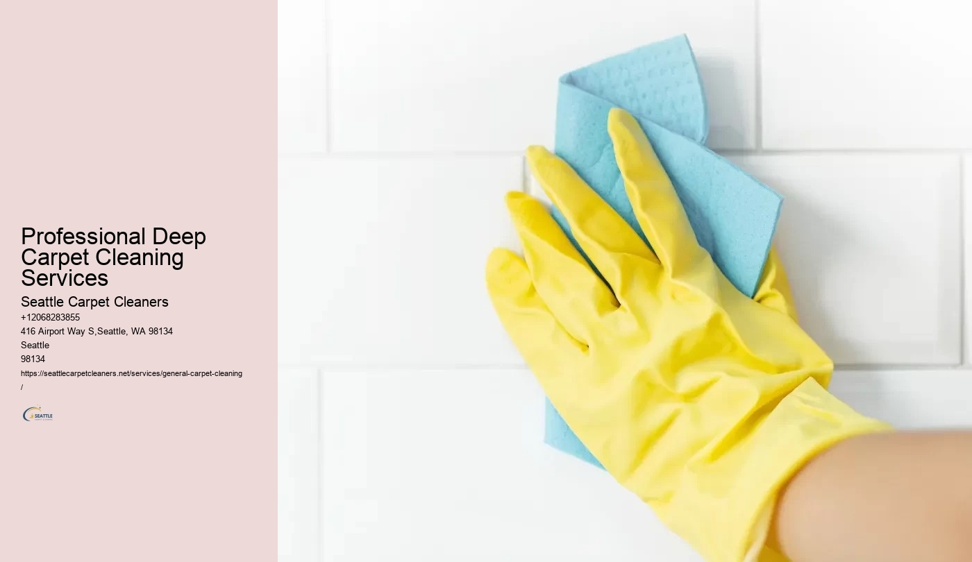 Professional Deep Carpet Cleaning Services