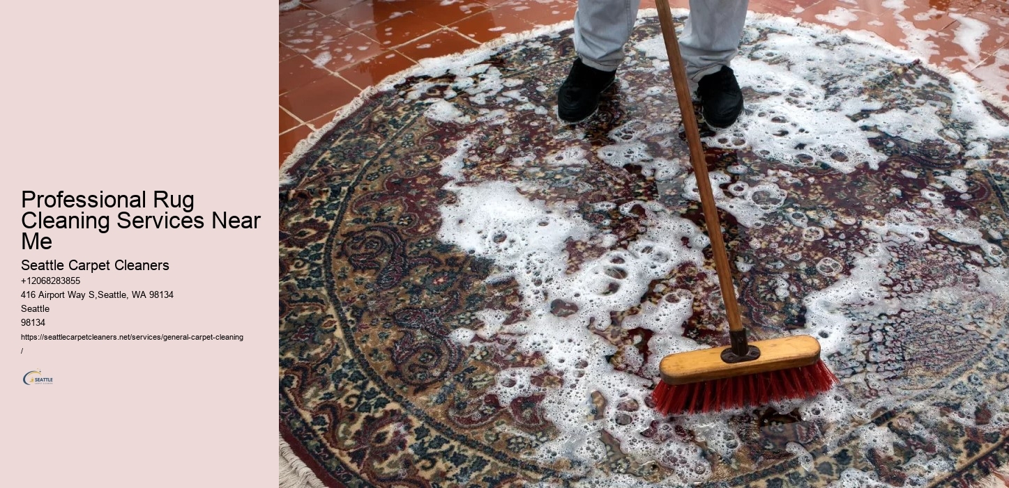 Professional Rug Cleaning Services Near Me