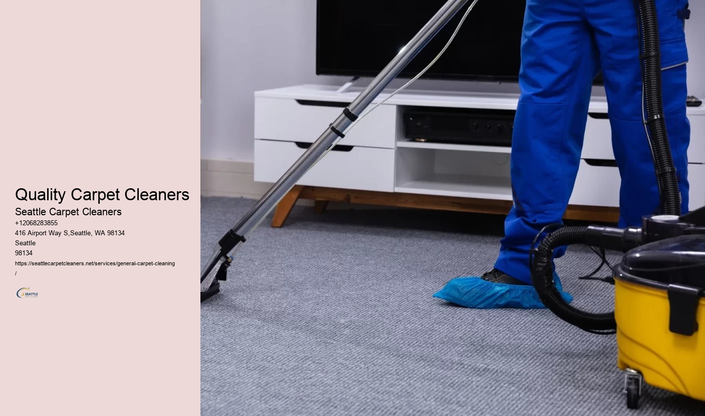 Quality Carpet Cleaners