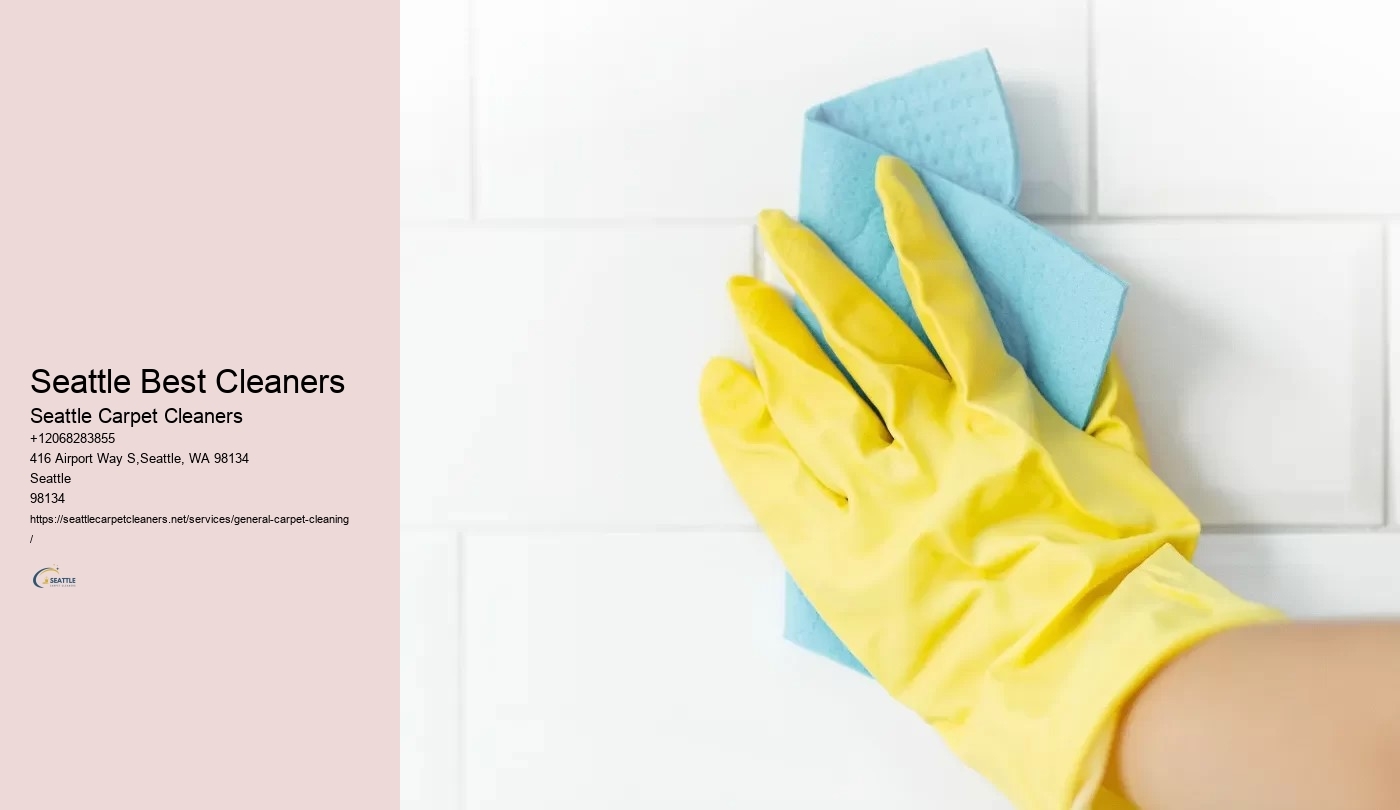 Seattle Best Cleaners