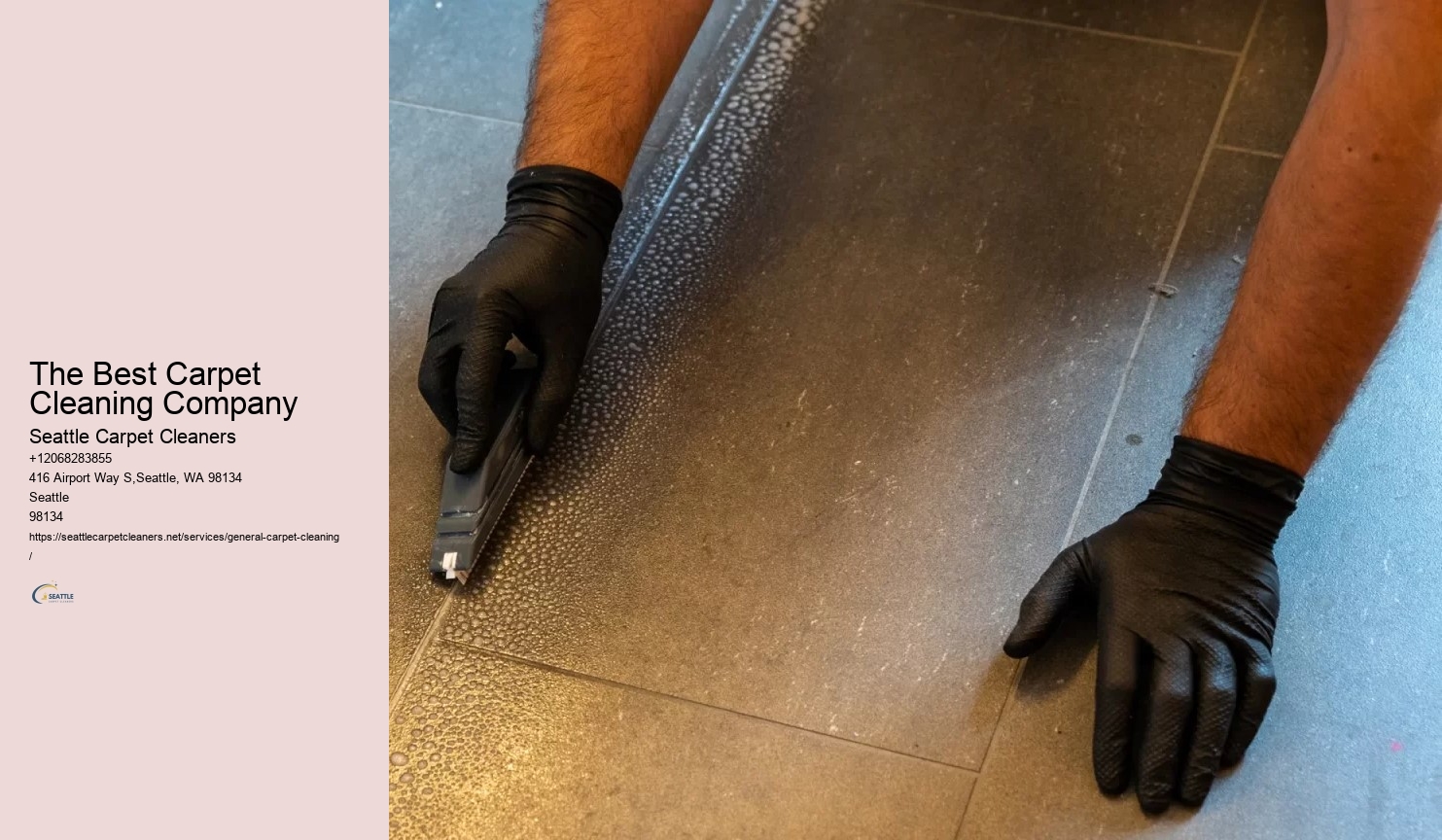 The Best Carpet Cleaning Company