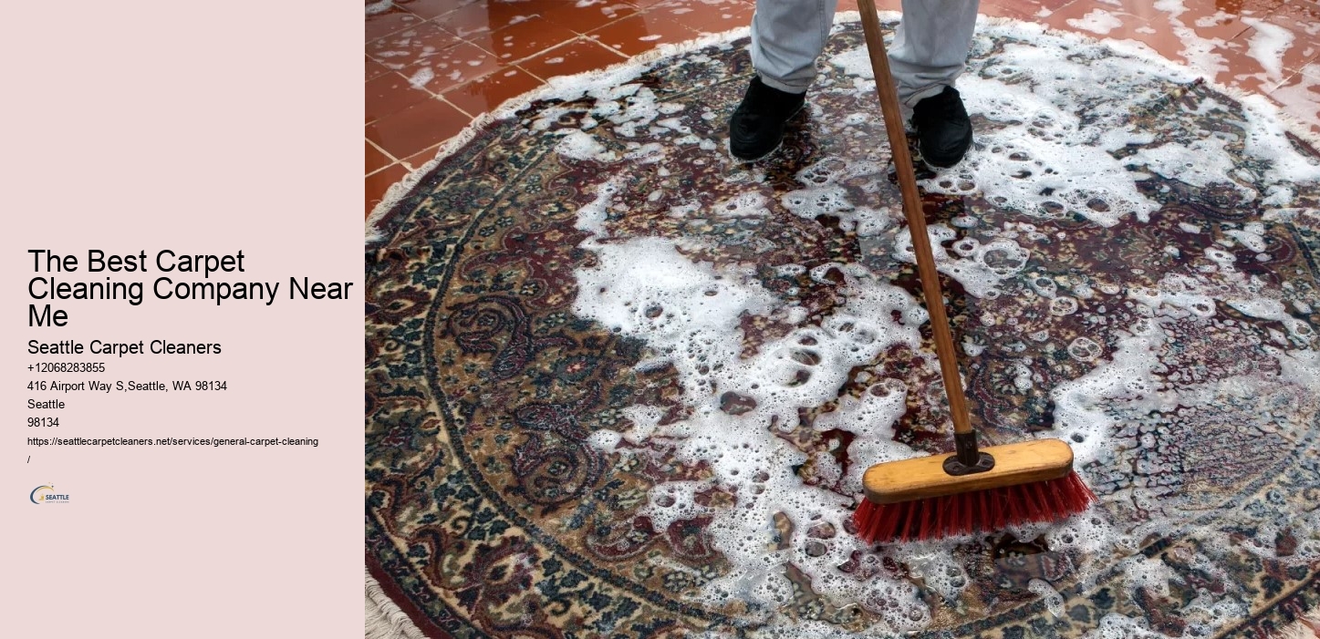 The Best Carpet Cleaning Company Near Me