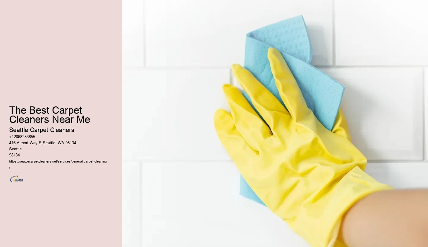 The Best Carpet Cleaners Near Me