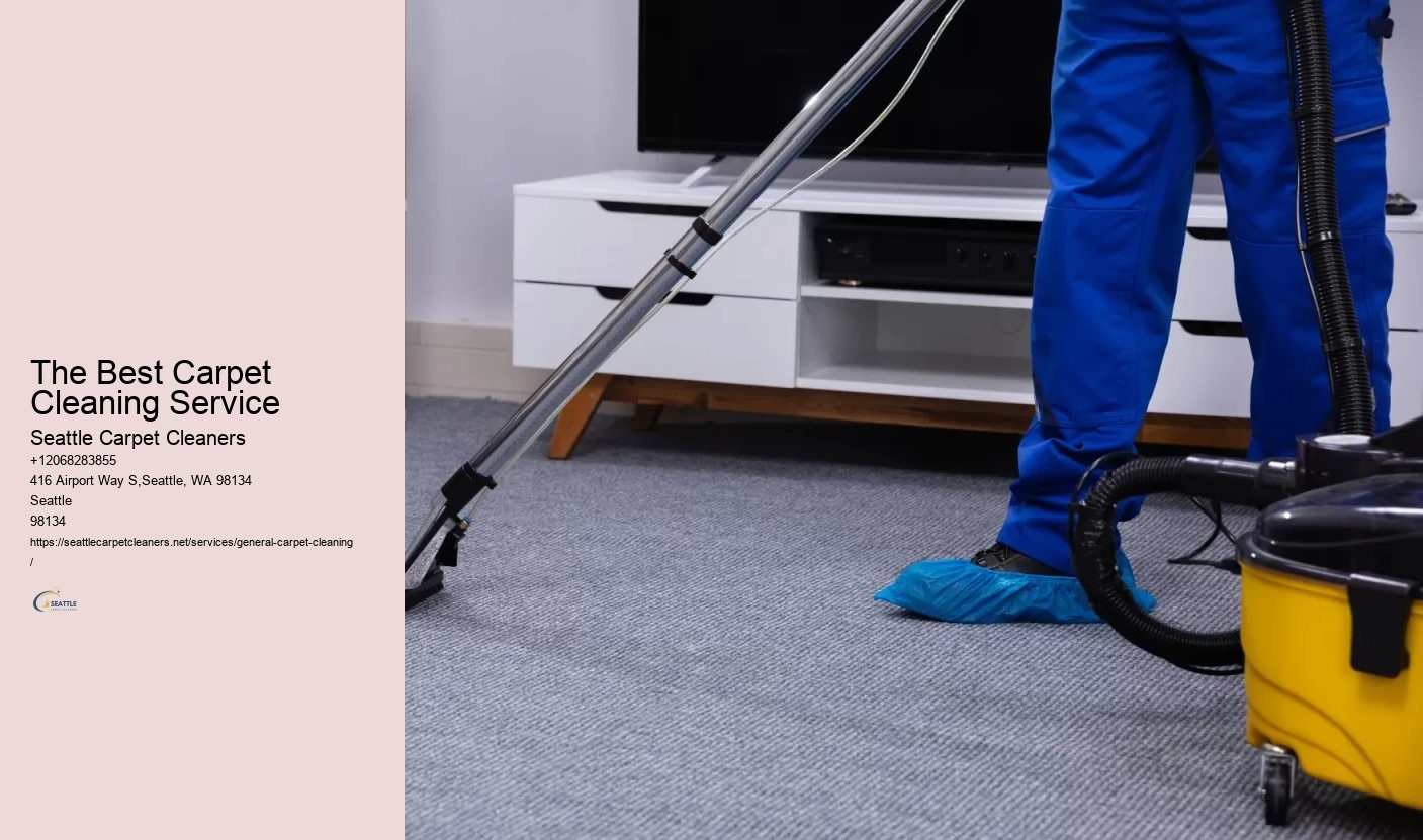The Best Carpet Cleaning Service
