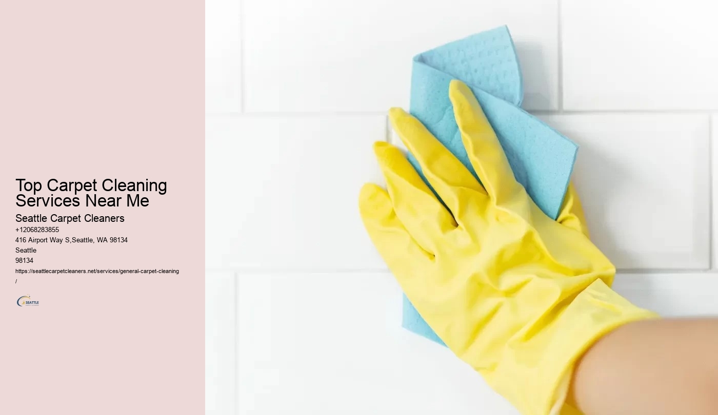 Top Carpet Cleaning Services Near Me