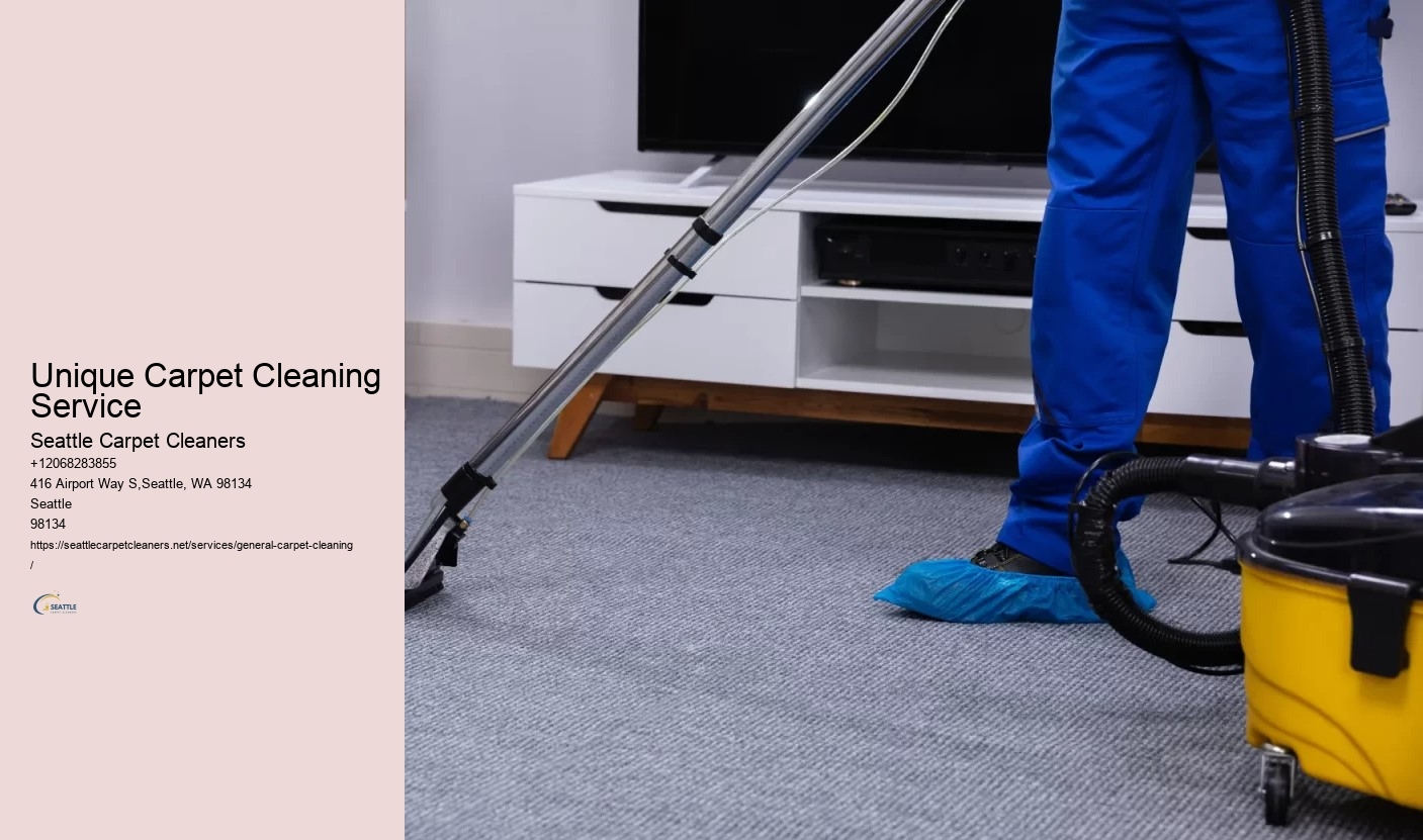 Unique Carpet Cleaning Service