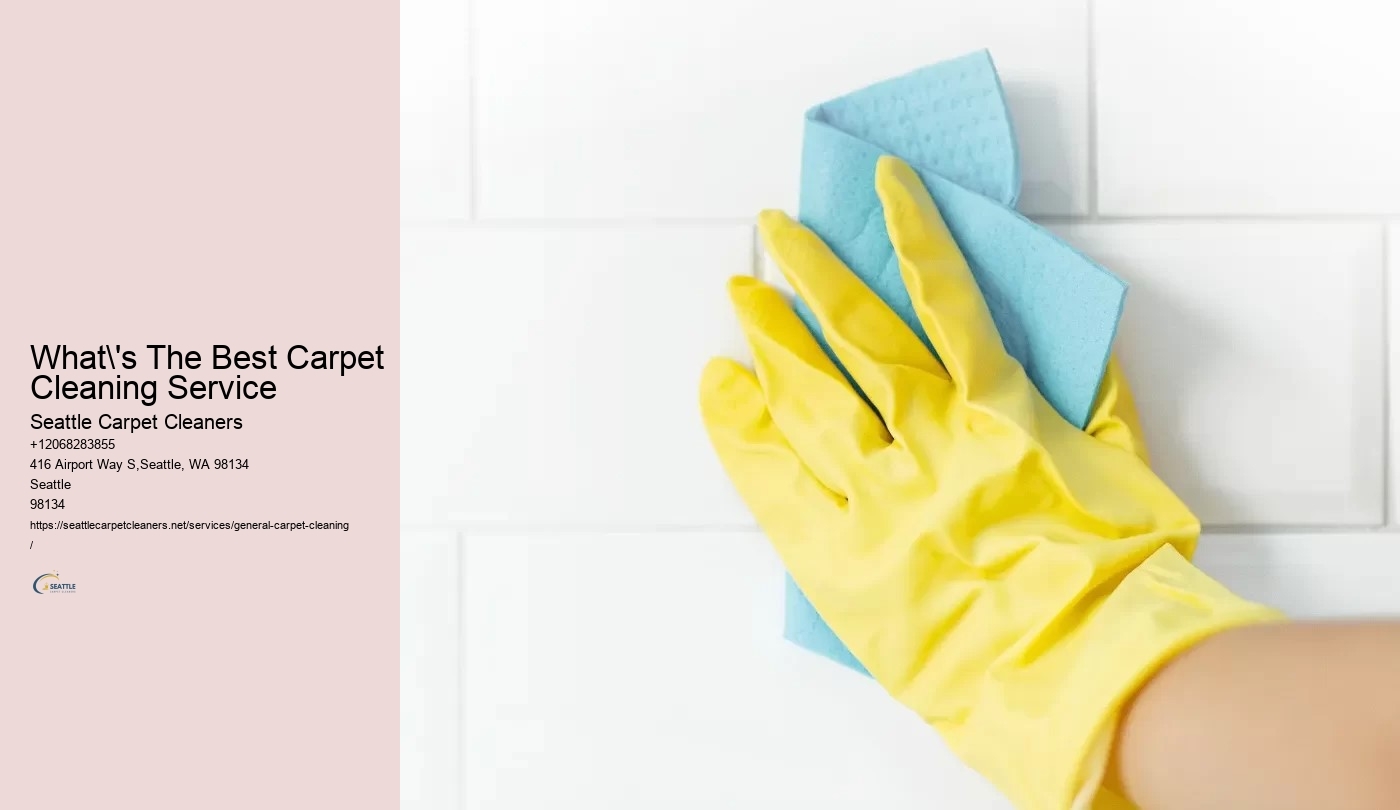 What's The Best Carpet Cleaning Service