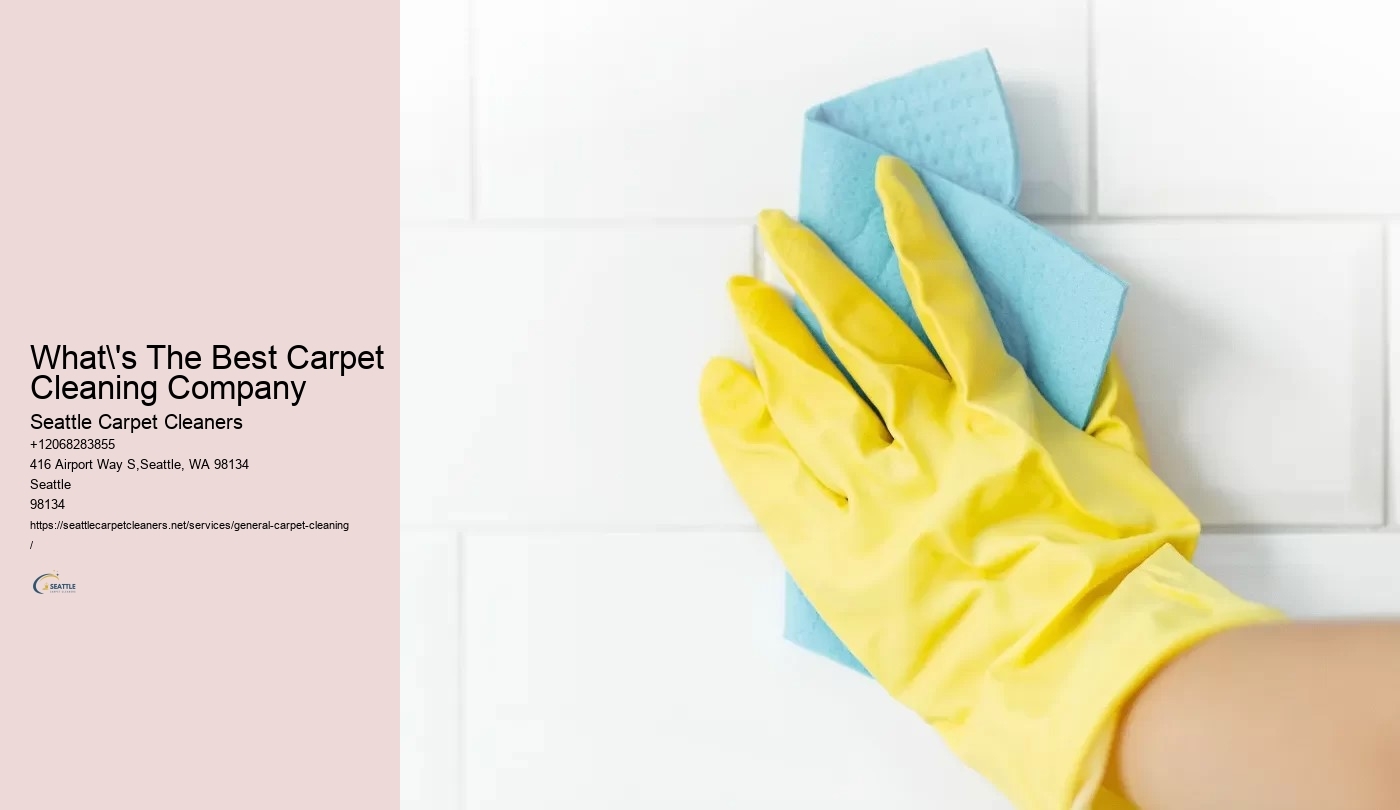 What's The Best Carpet Cleaning Company